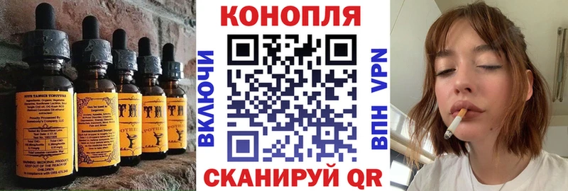 Купить закладки  Гаврилов Посад  Cannafood конопля 