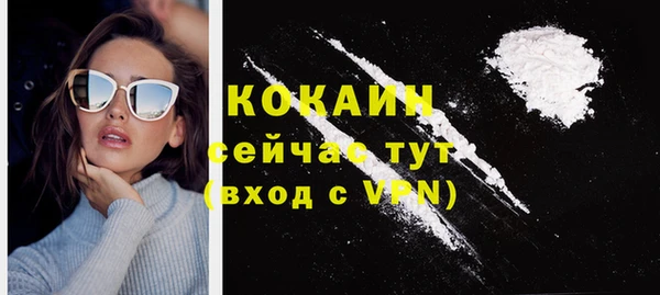 ПСИЛОЦИБИНОВЫЕ ГРИБЫ Карталы