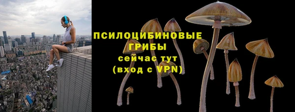 а пвп мука Каменка