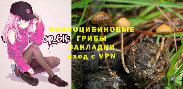а пвп мука Каменка