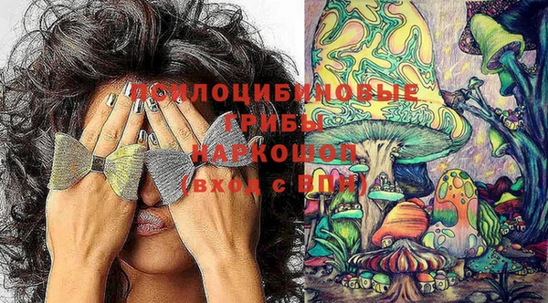 бошки Каменногорск