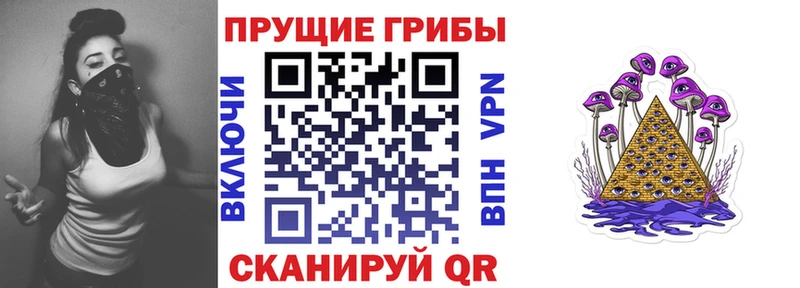 Галлюциногенные грибы Cubensis  Купить  Гаврилов Посад 